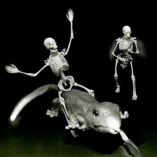 Connie Sullivan, Ultima Thule, 2011, 3D Transparency in light box, 14 x 14"