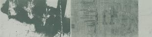Carrie Iverson, Circuitry 2, 2010, toner lithograph on paper, 7 1/2 x 30"
